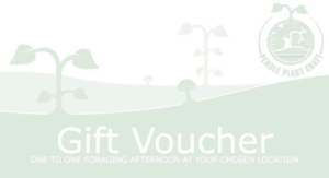 Pendle Plant Craft Gift Voucher